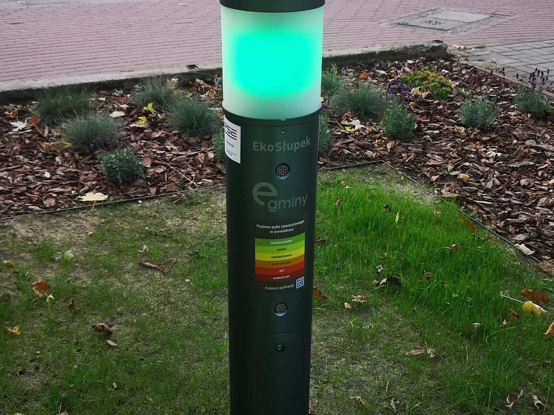 Pas zieleni i monitor jakości
